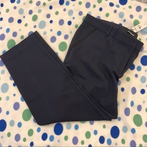NWT Express Columnist ankle pants
